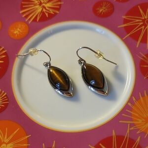 Lia Sophia Silver and Brown Classic Earrings